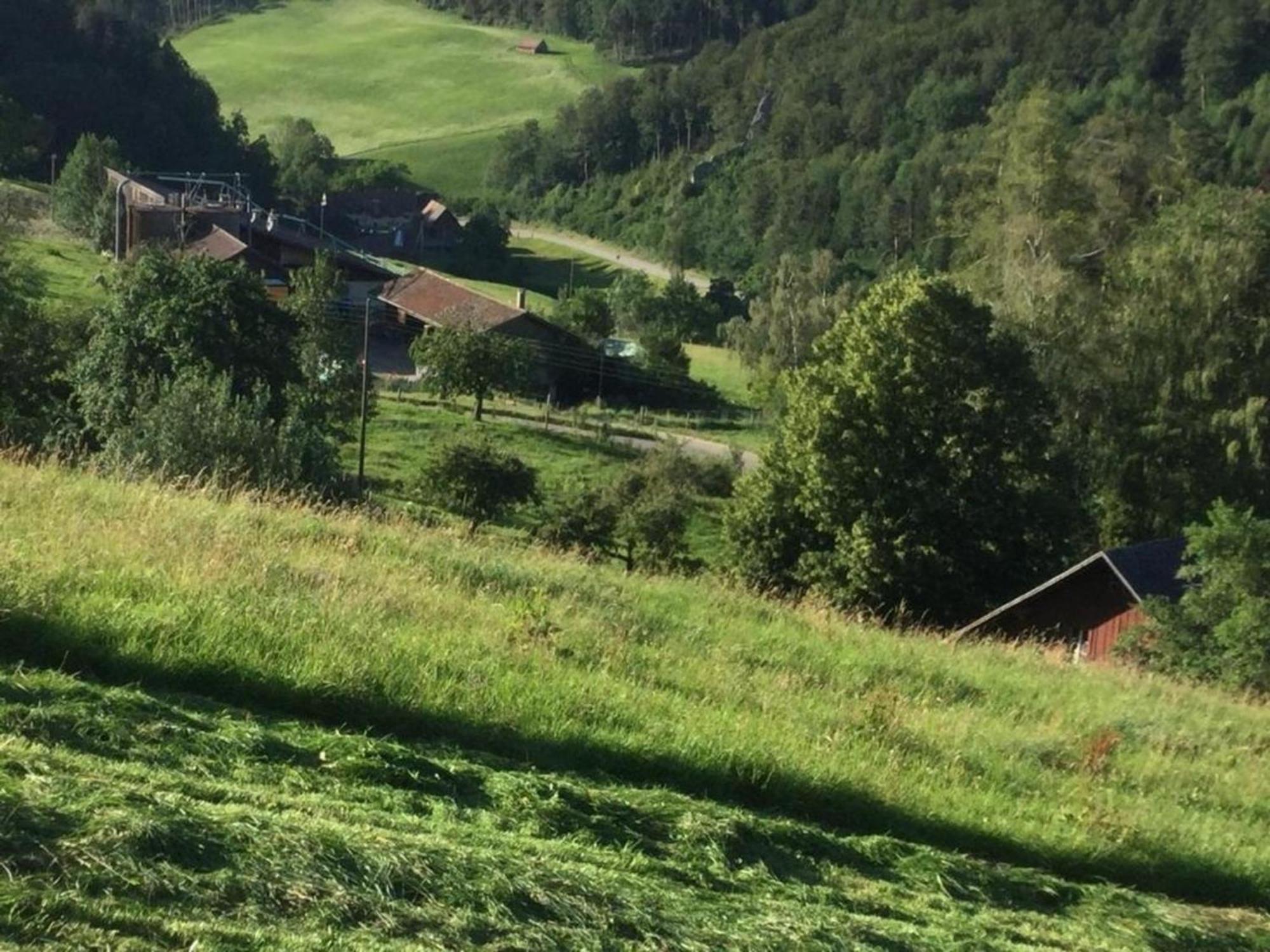 Ferienwohnung Hof Unterer Duerrenberg Langenbruck Luaran gambar