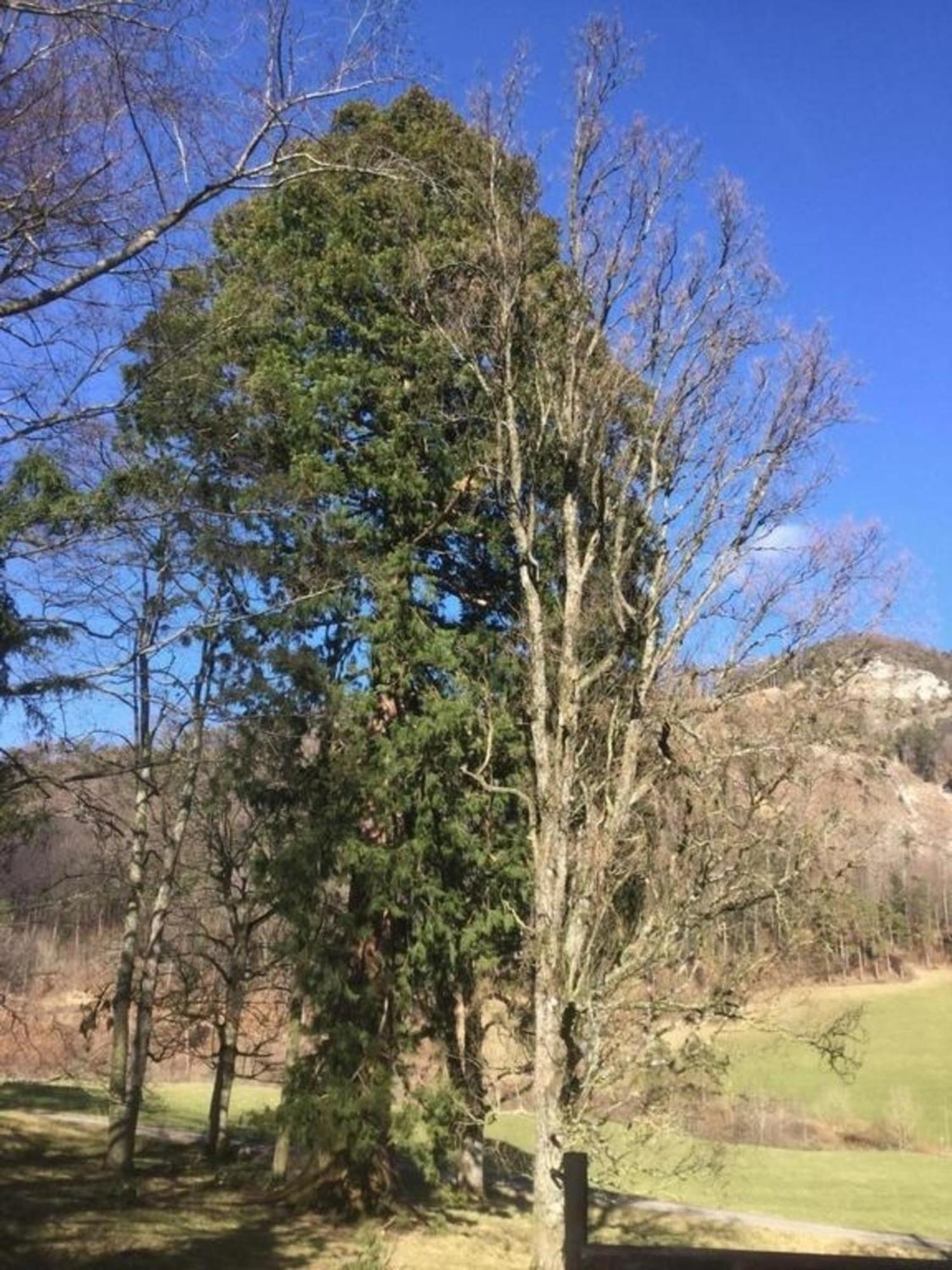 Ferienwohnung Hof Unterer Duerrenberg Langenbruck Luaran gambar